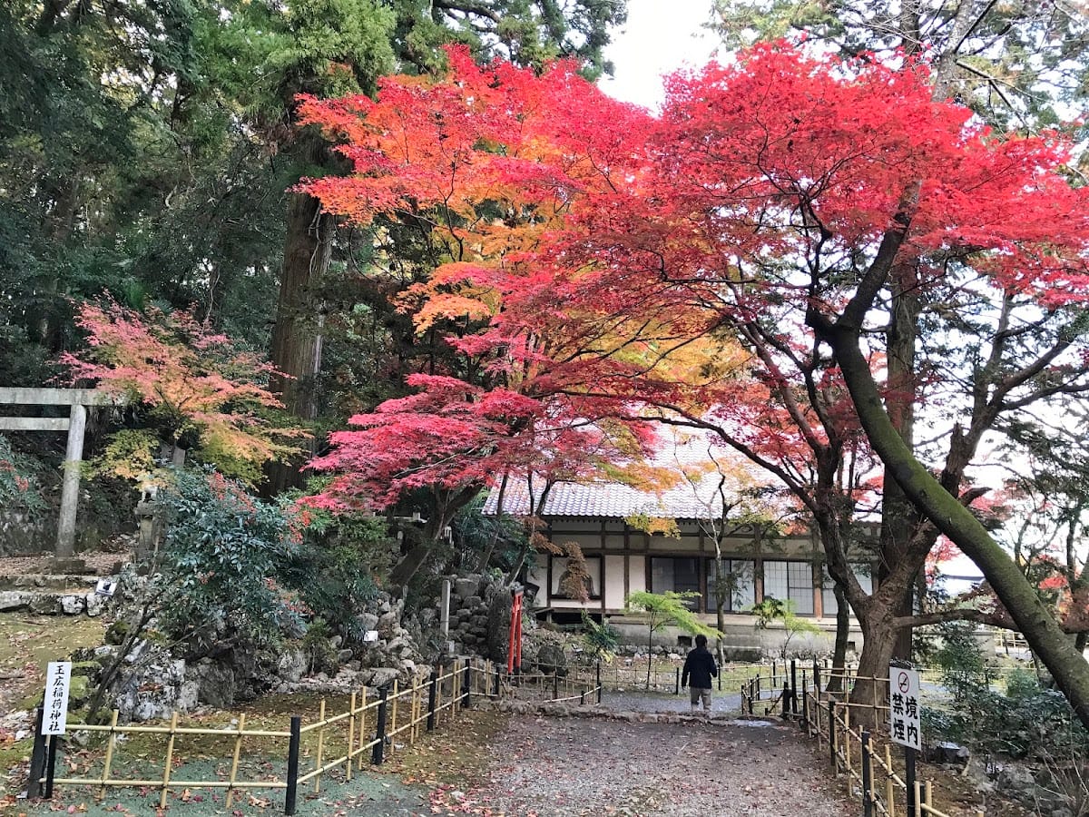 narutani yama   shouhou tera