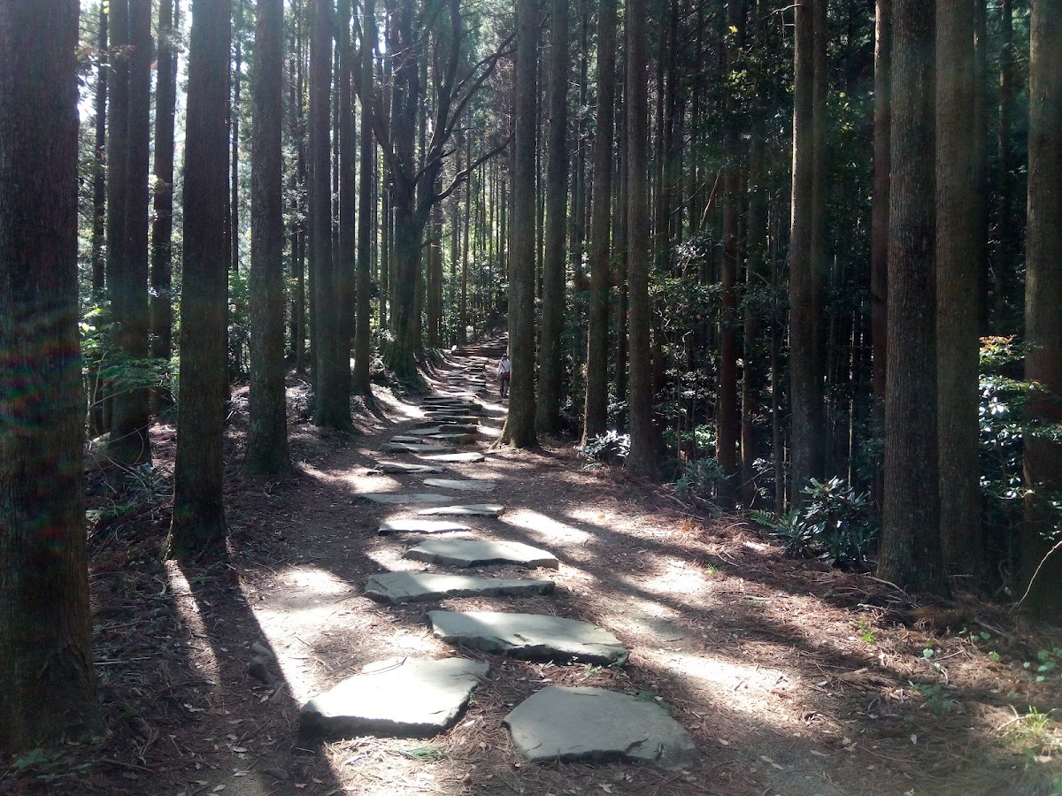釈迦院