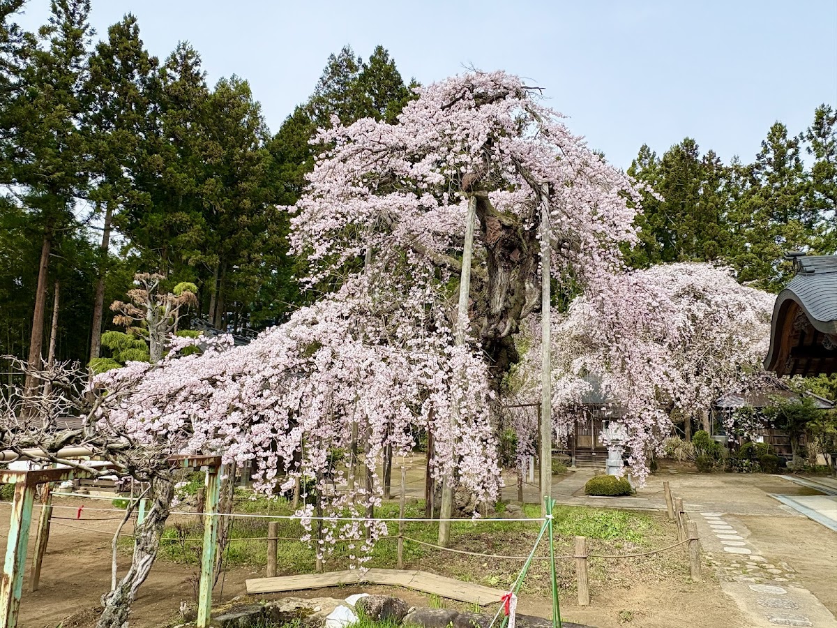 愛蔵寺