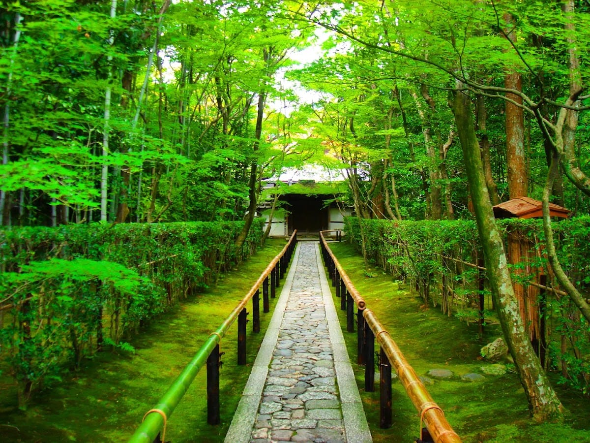高桐院