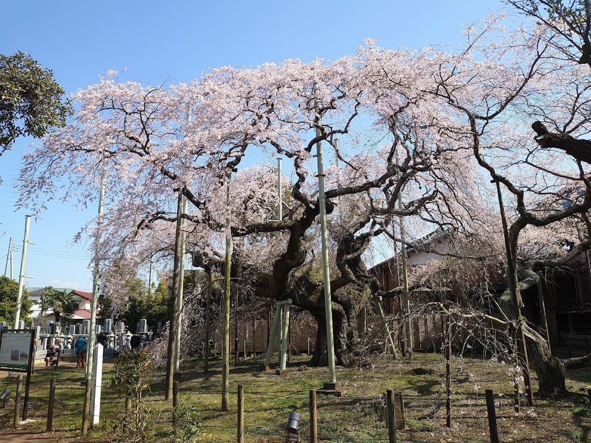 Hannya-in Temple