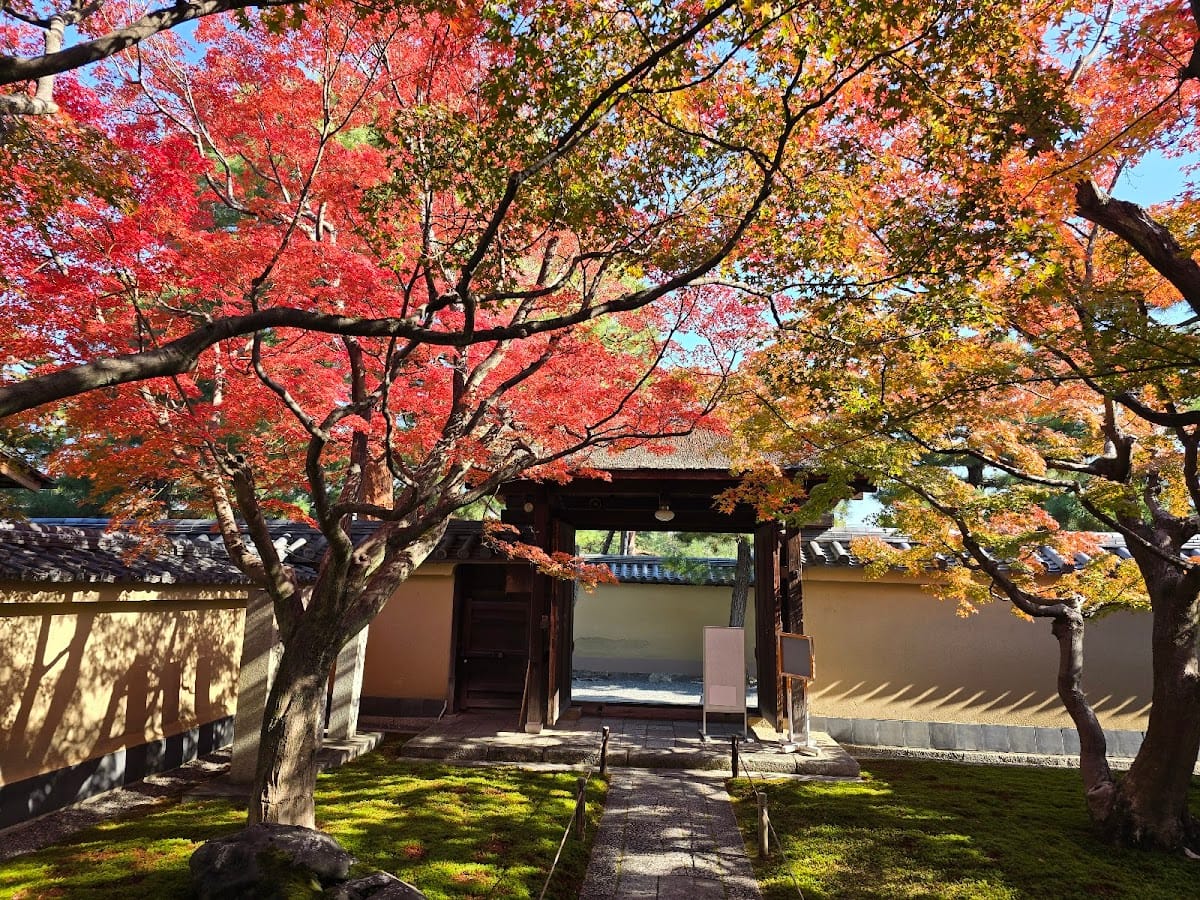 黄梅院