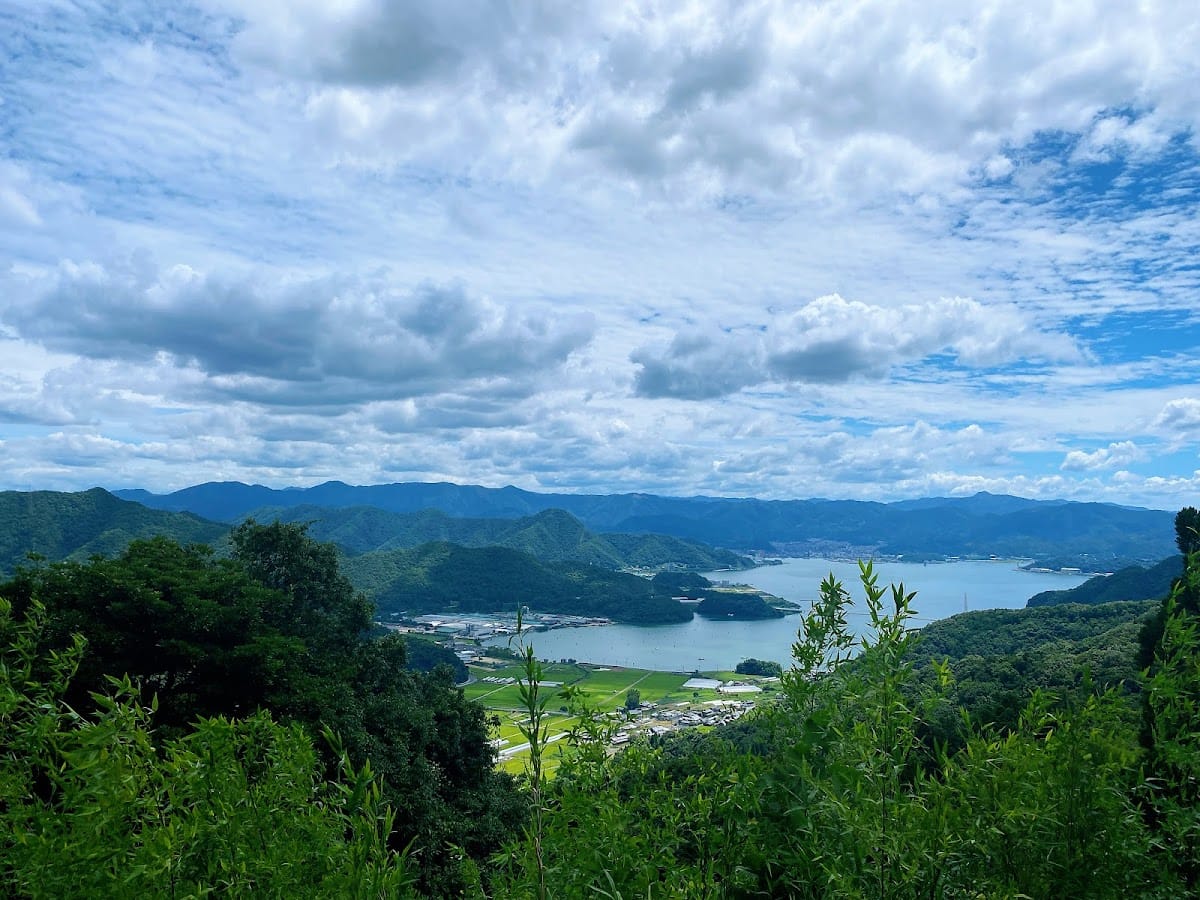 Taneji