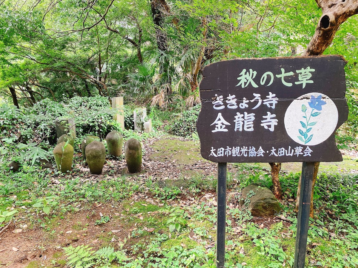 金龍寺