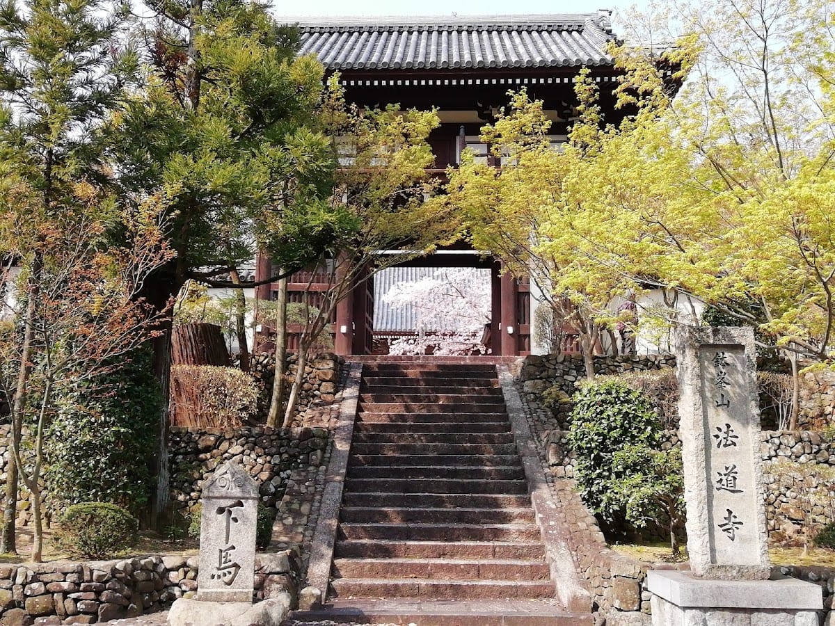 Hodoji