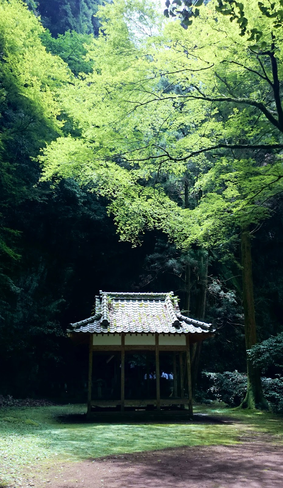 岩戸神社