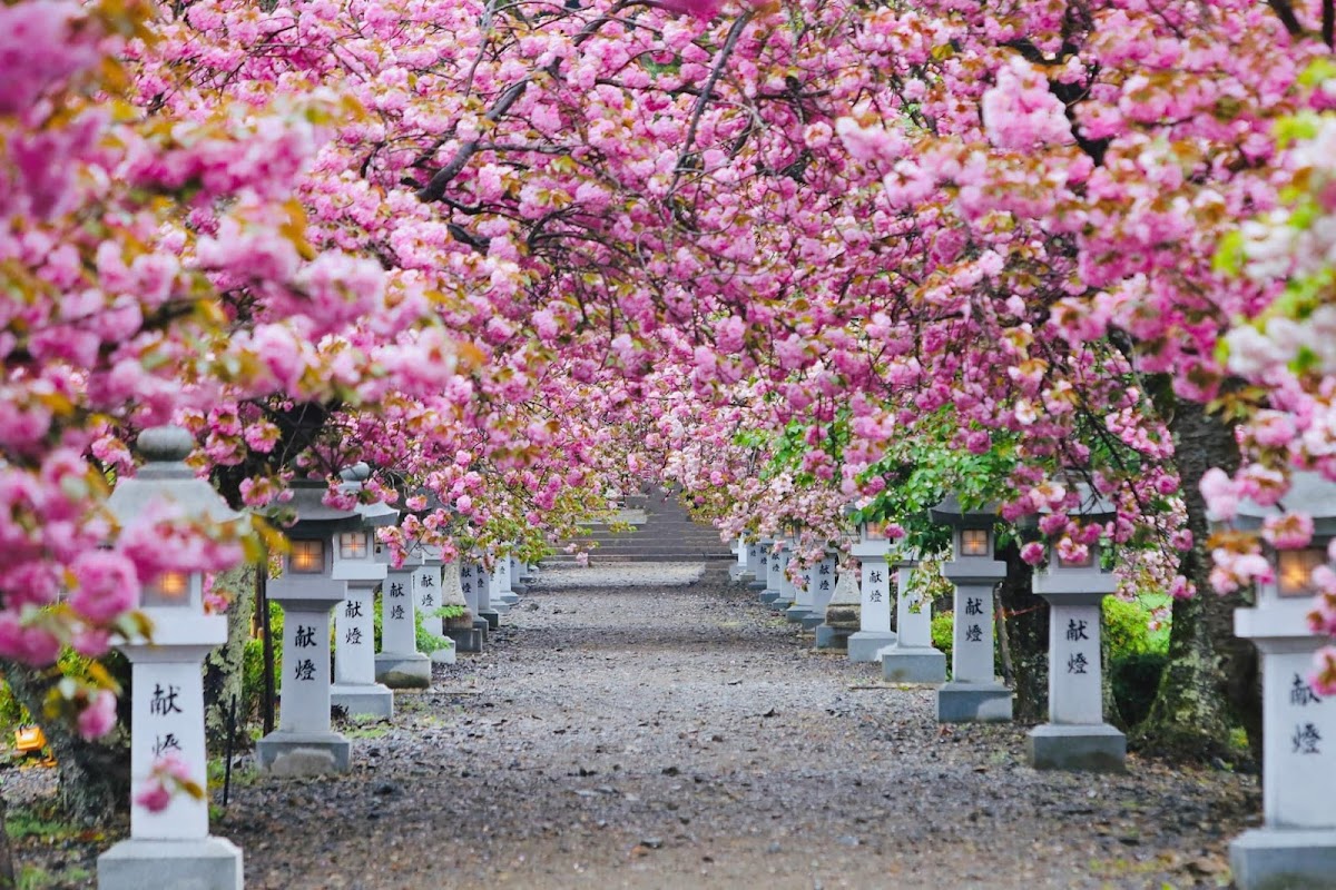伊香具神社