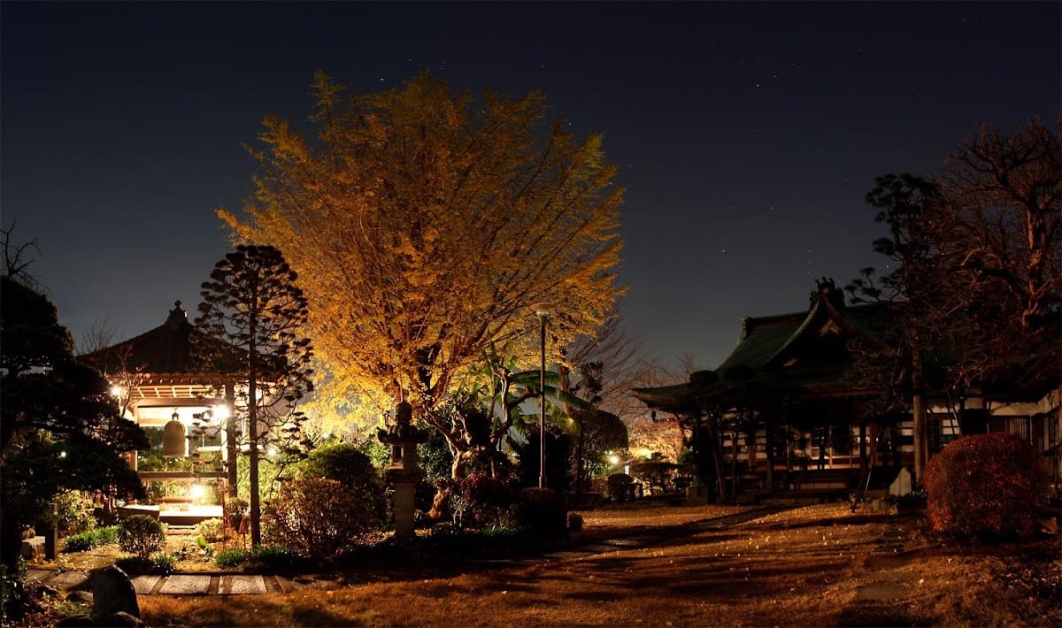 Teisho-in Jinja