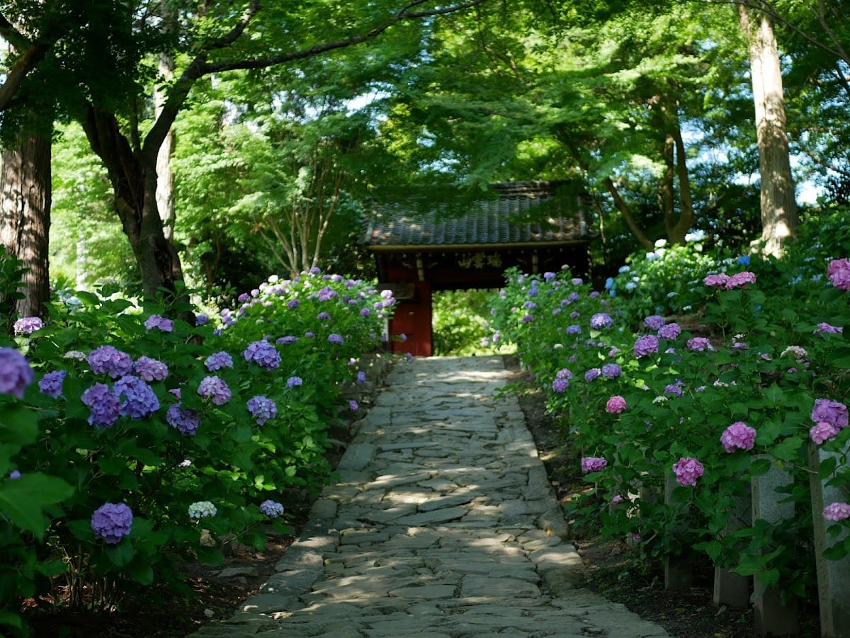 Honkouji