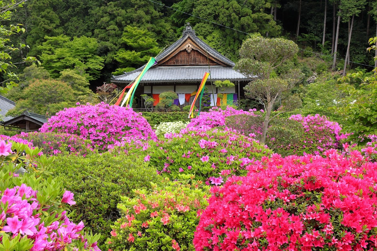 船宿寺