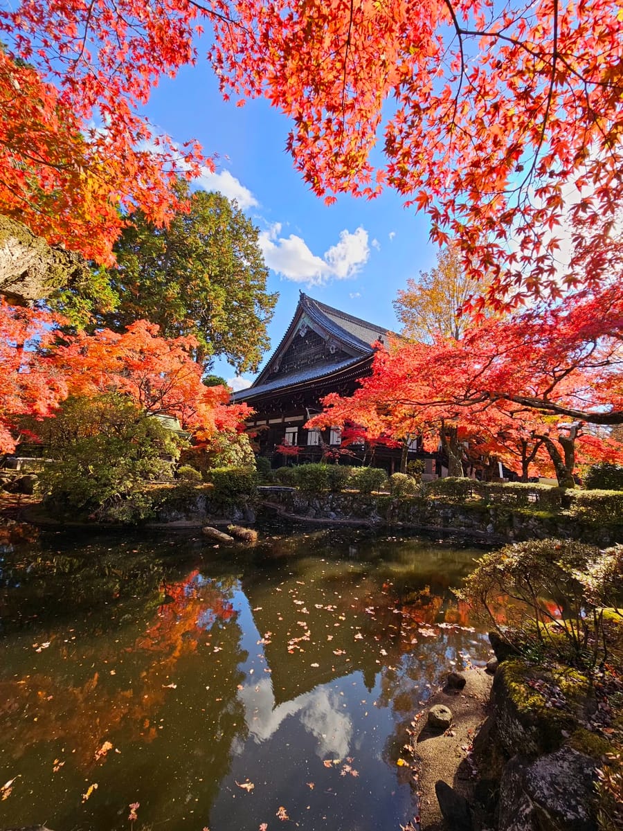 Shinshogokurakuji