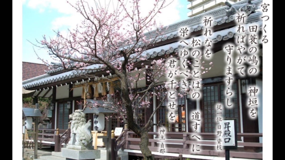 Tamino Jinja