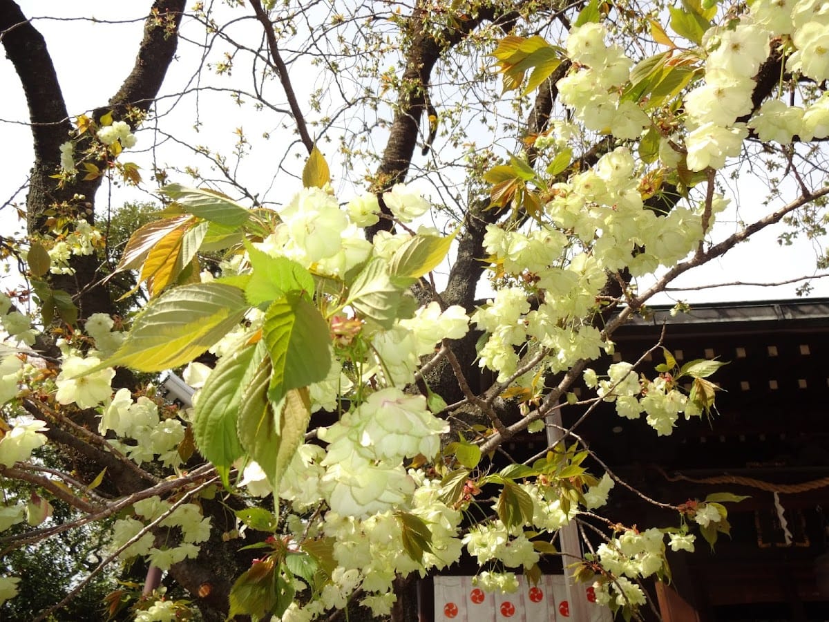 Nanayashiro Shrine