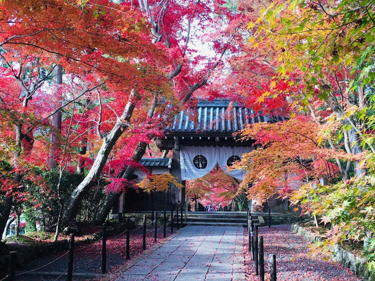 Komyoji