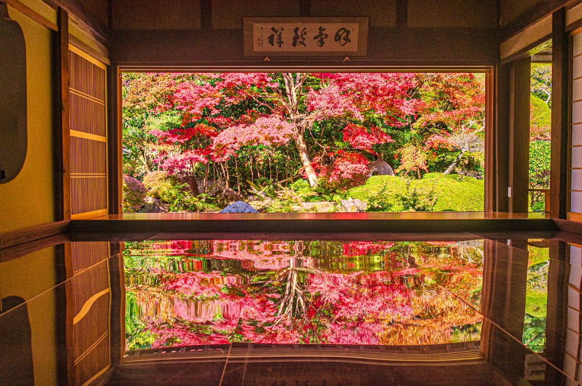 寿福寺
