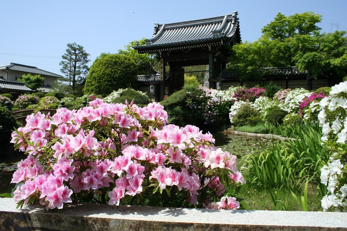 Myomanji