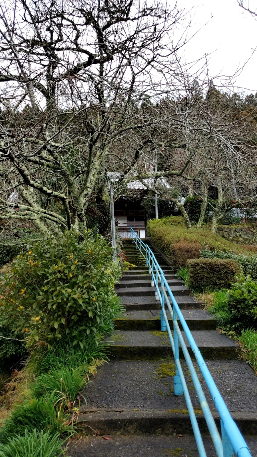 上林禅寺
