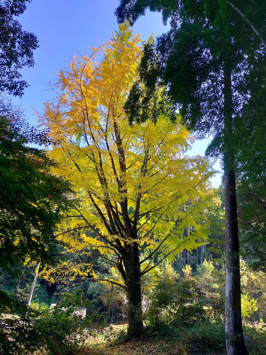Eishōji
