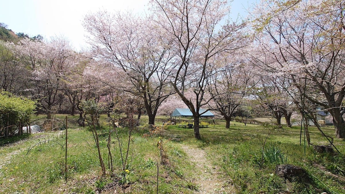 Yakuoji Jinja