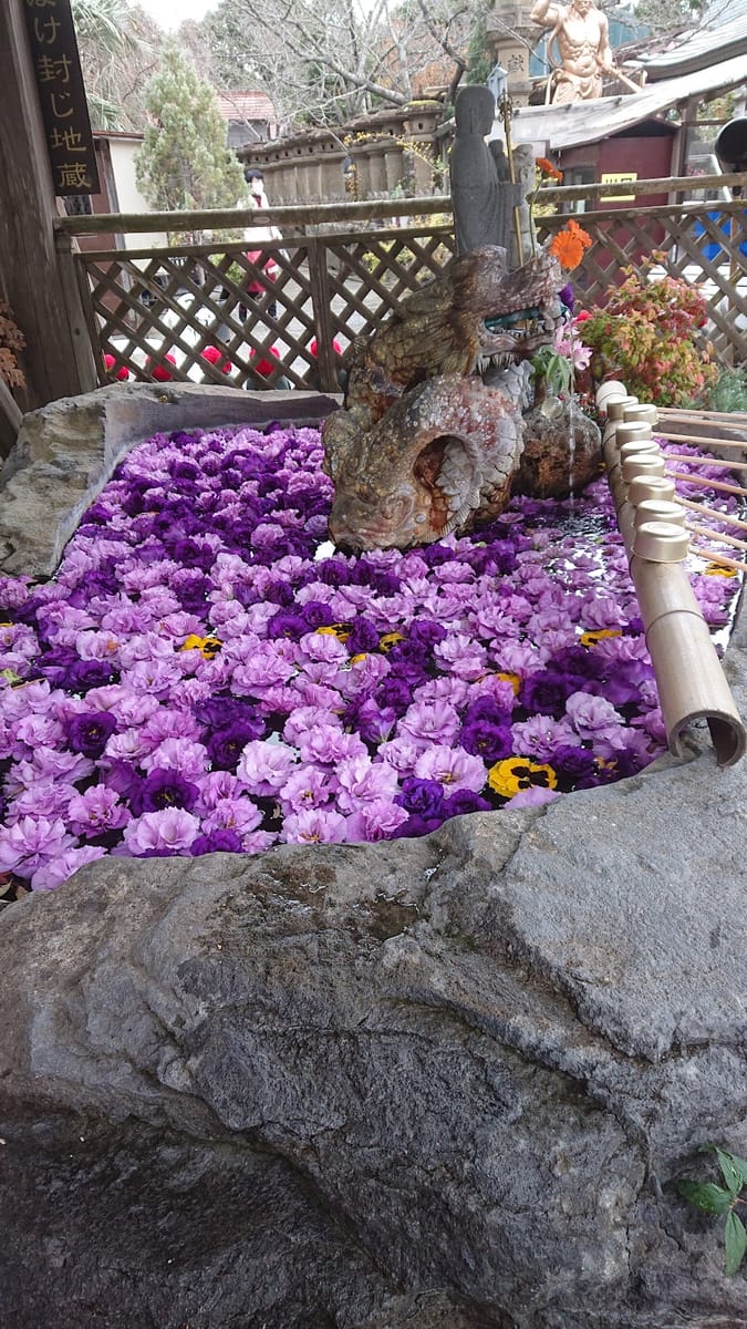 Kayama Noboru Ryuudai Kannon