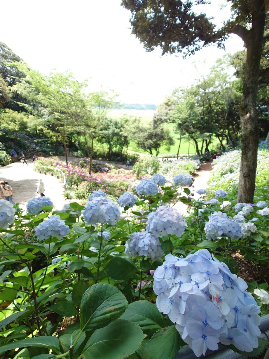 Nihonmatsu-ji