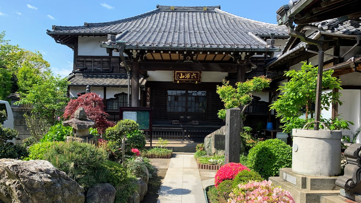 Enjutera(enjutera)nichika-do