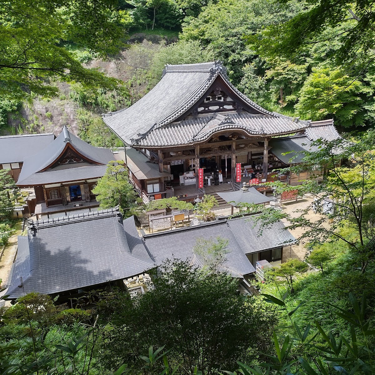 岡寺