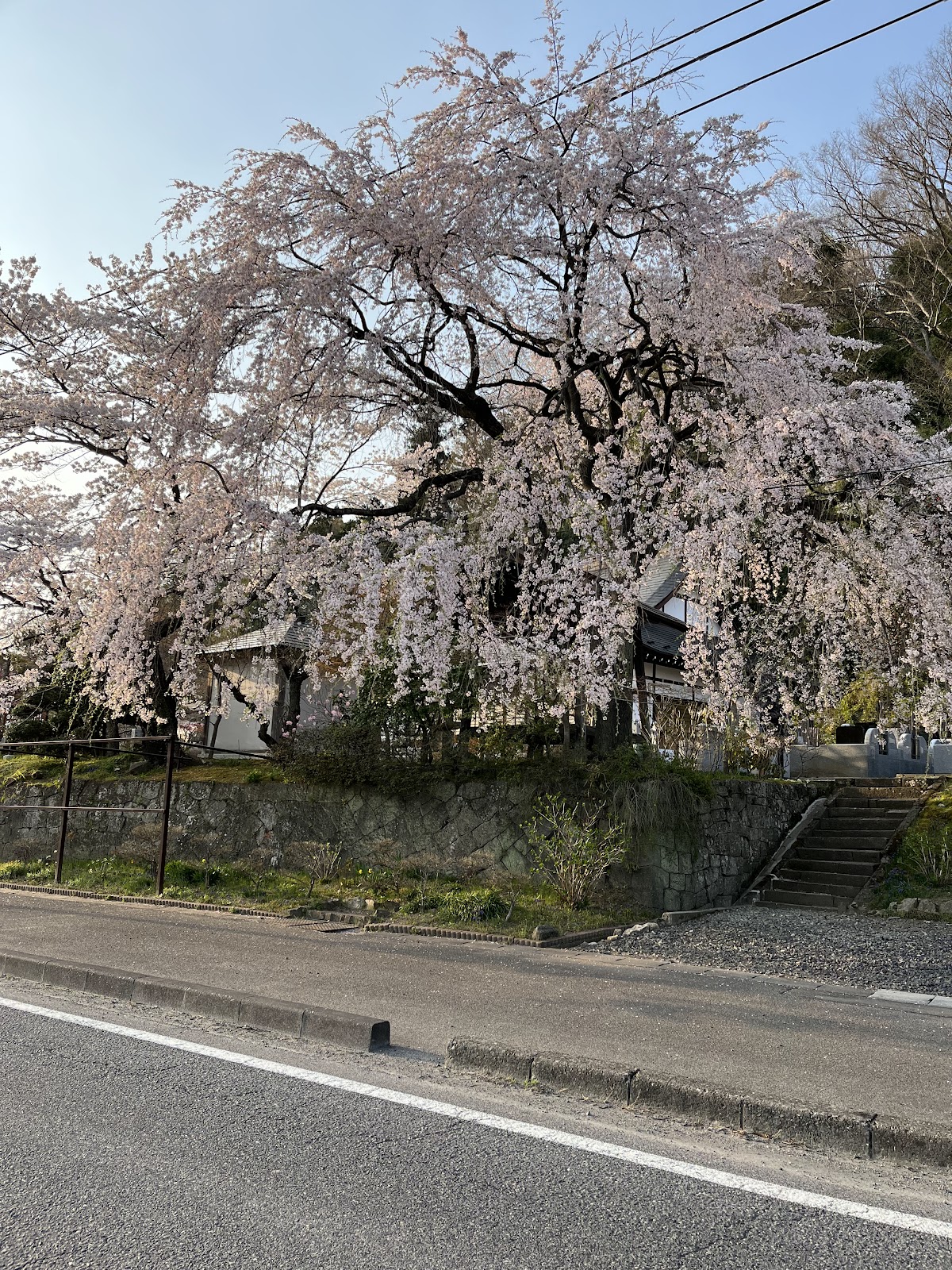 長命寺