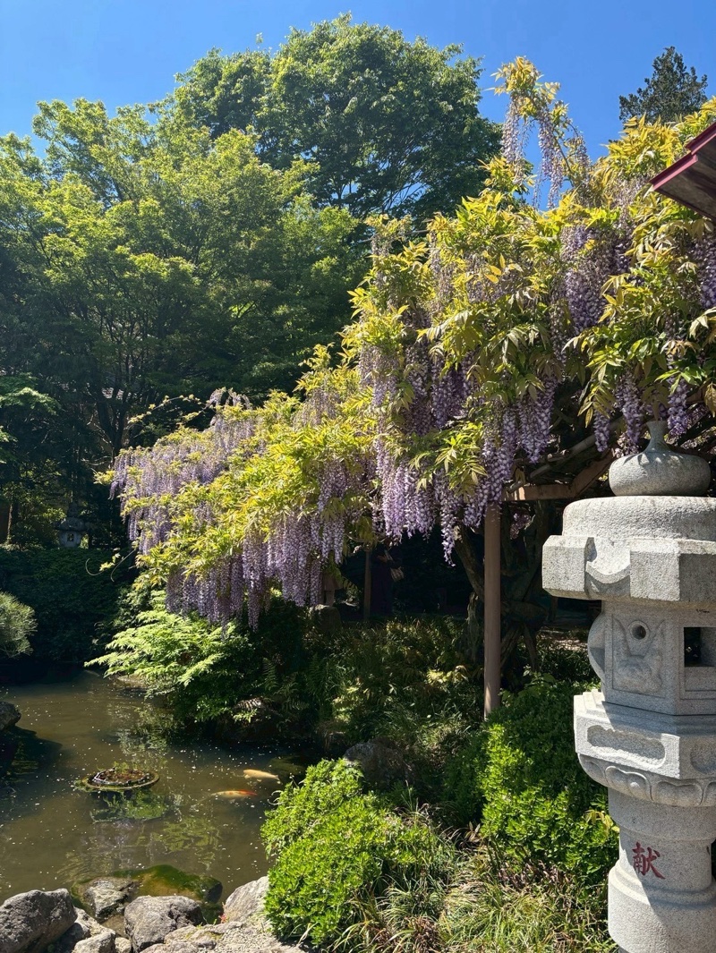 金蛇水神社の御朱印 5