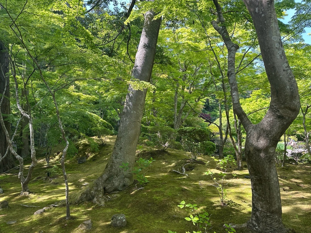 Goshuin 5