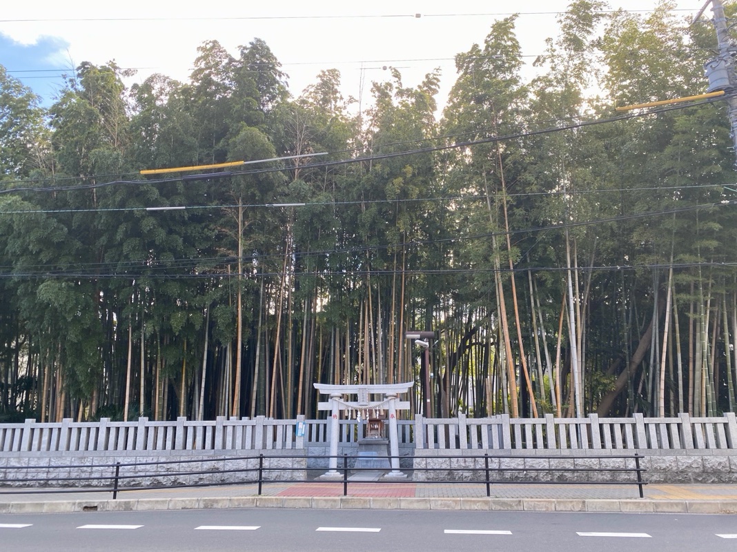 葛飾八幡宮の御朱印 3