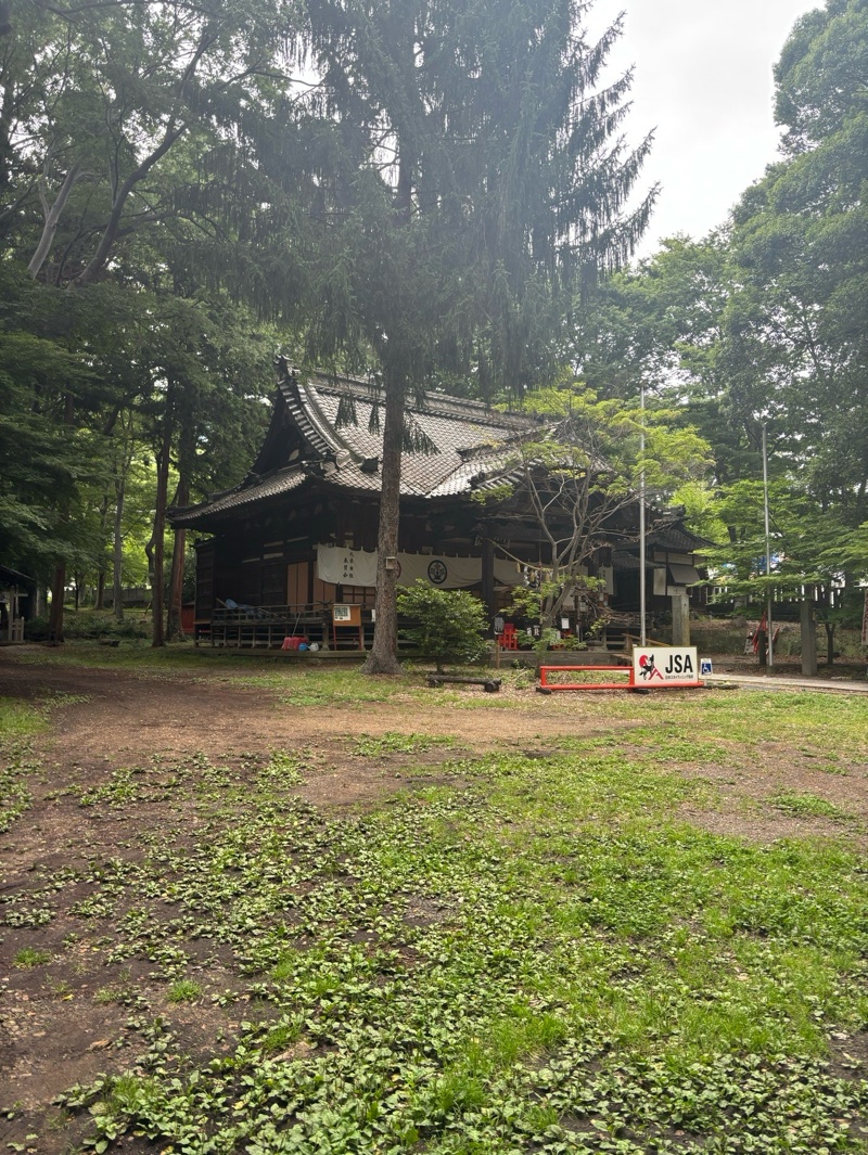大星神社の御朱印 3