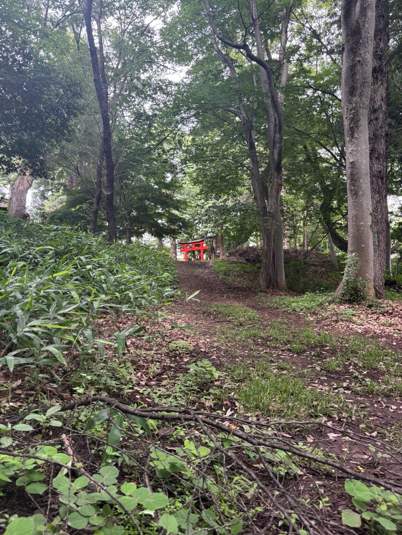 大星神社の御朱印 4