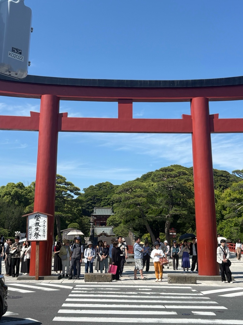 鶴岡八幡宮 御朱印 4