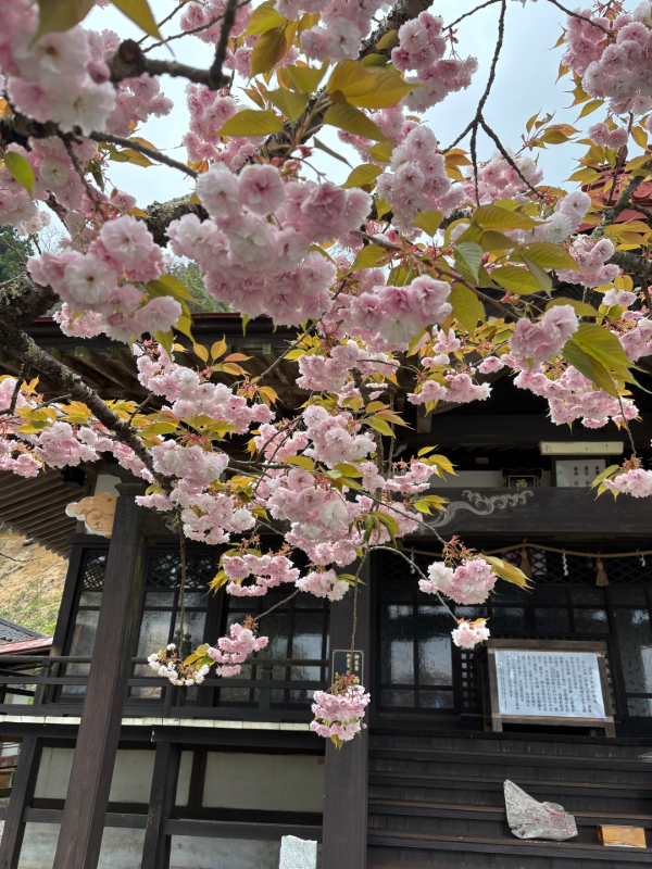 大瀧寺の御朱印 5