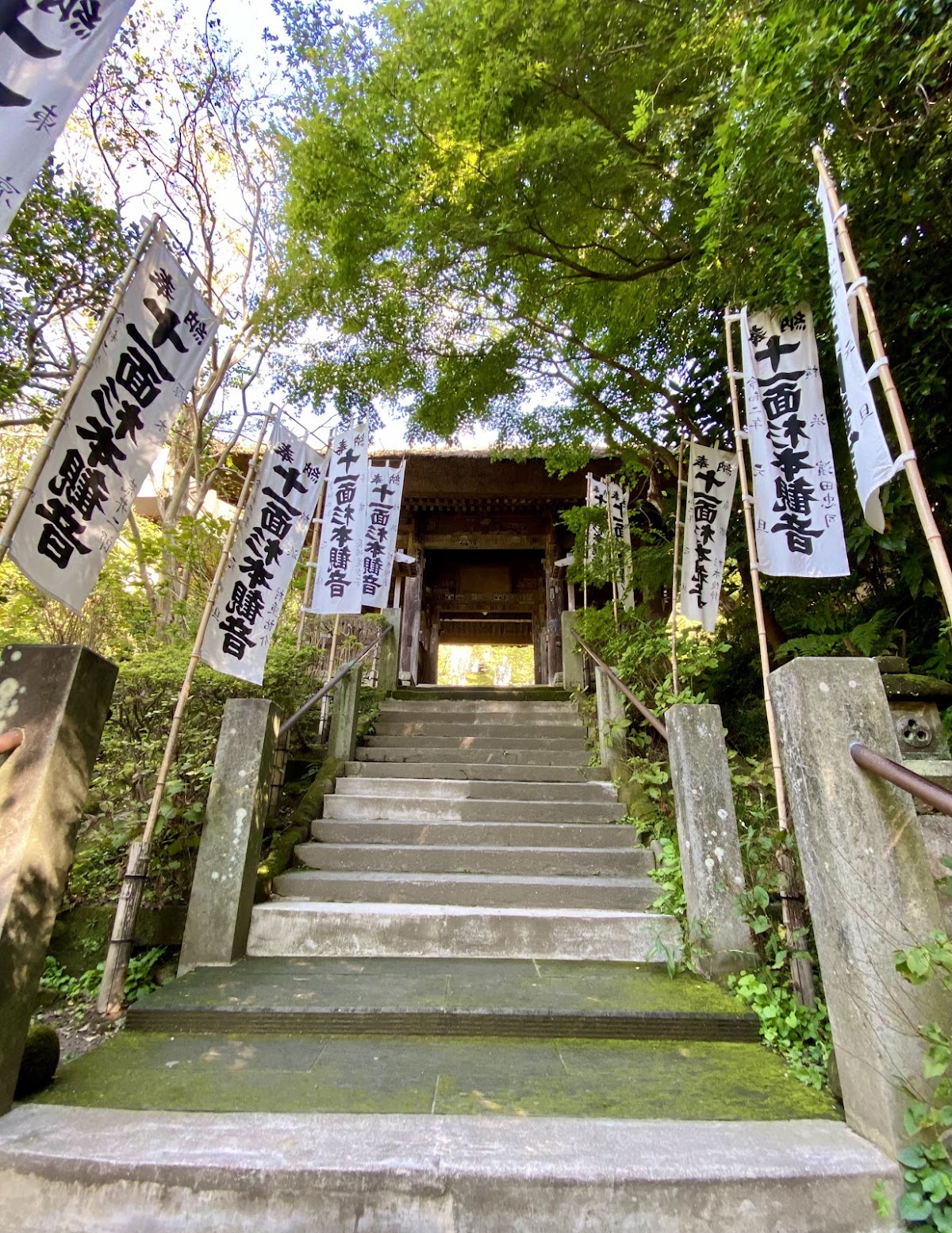 Sugimotoji