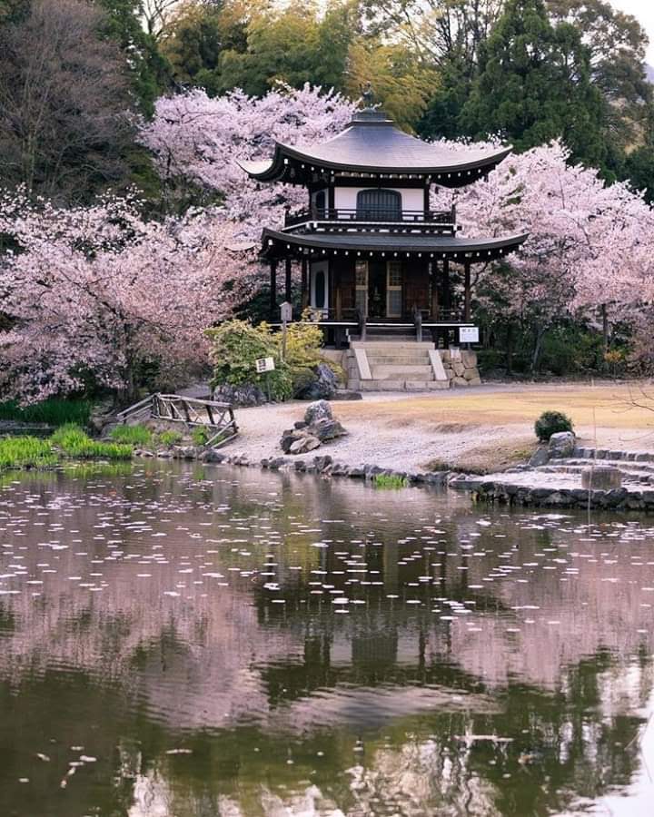 勧修寺の写真