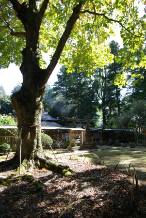 Komikado Jinja