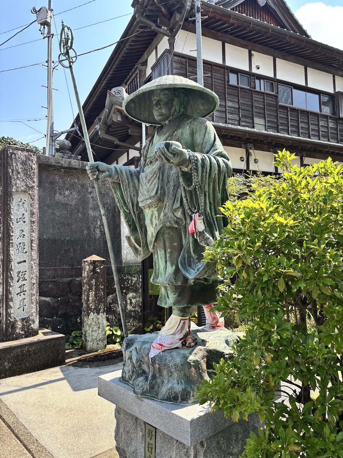 Tanemakitera