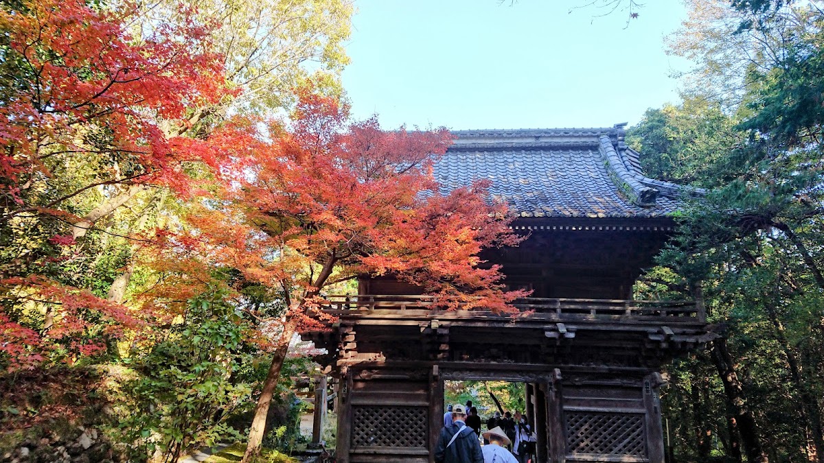 Chikurinji