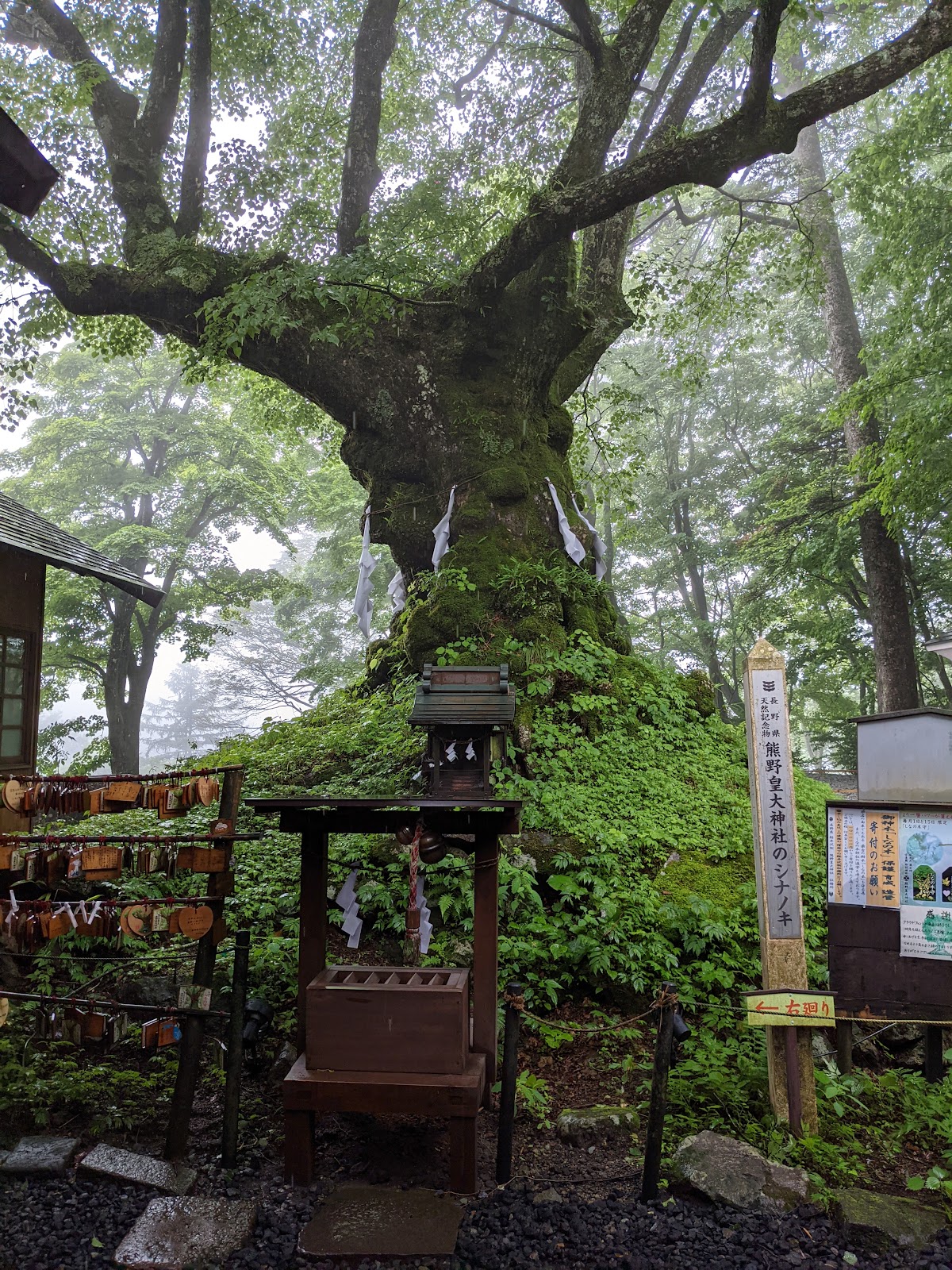 Kumano Koutai Jinja