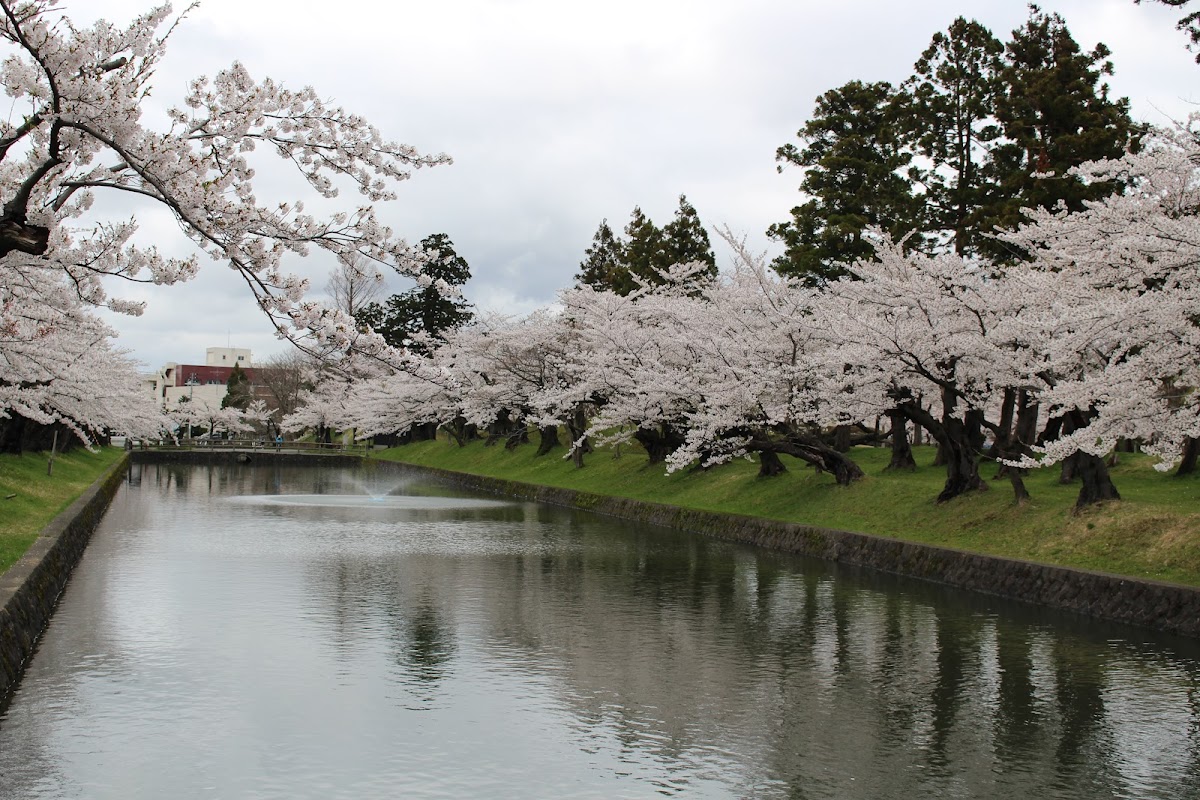 Shonaiji
