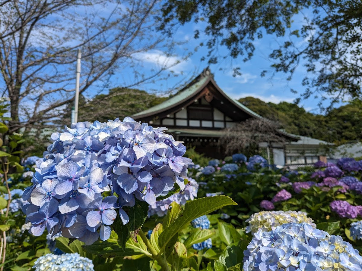 Hondoji