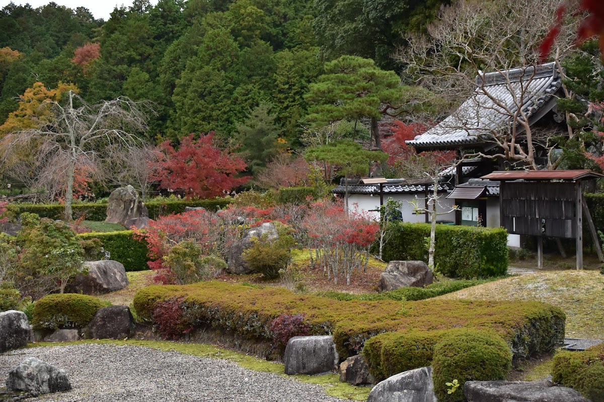 大池寺 1