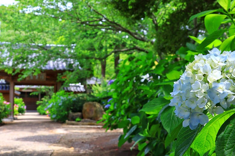 Koutoku-ji