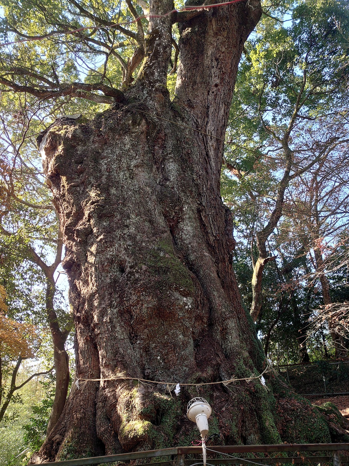 Kachihara Hachiman Guu