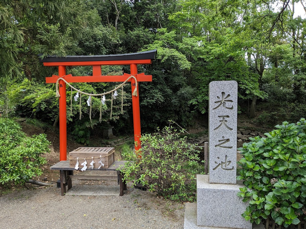 鷲宮神社