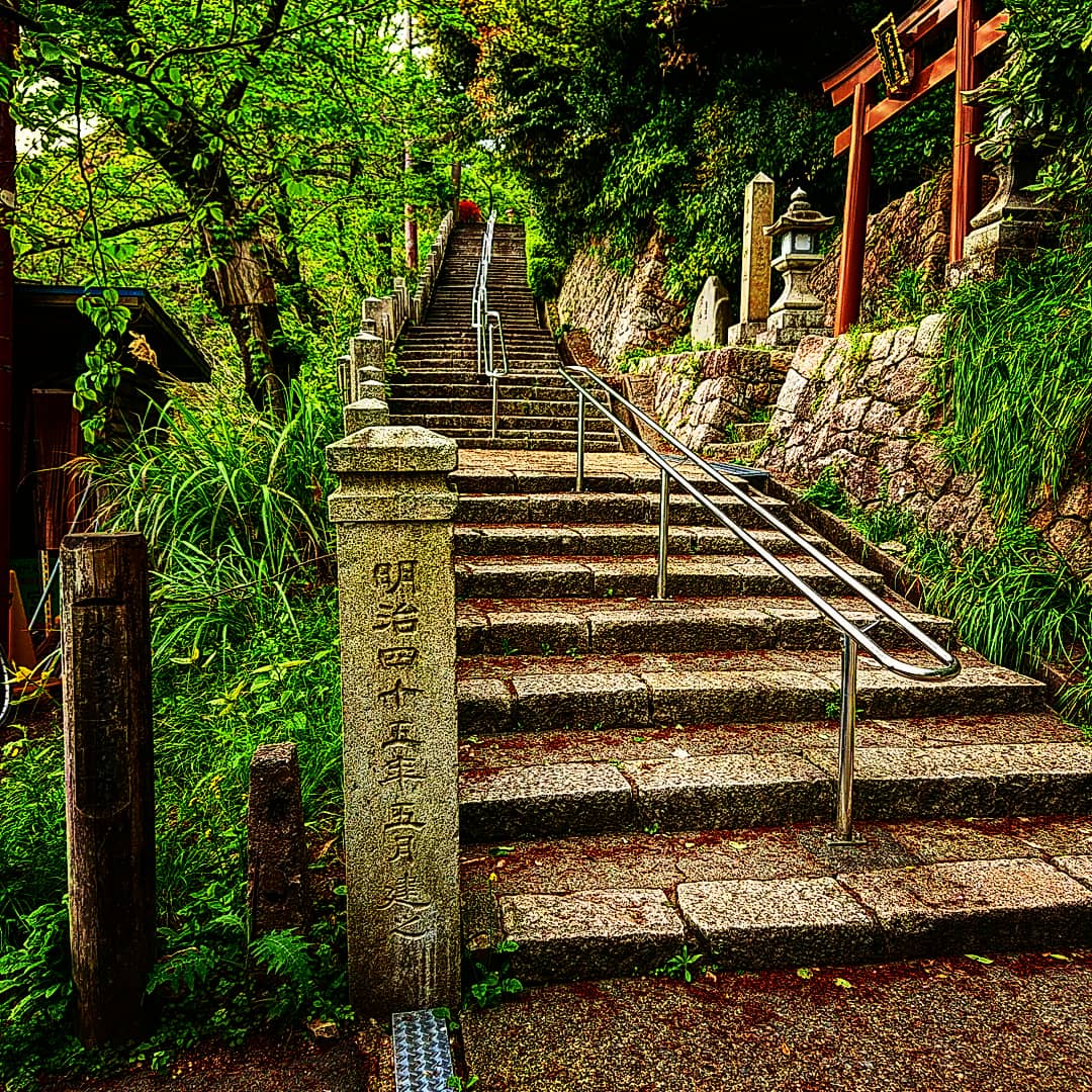 Kanazaki Miya