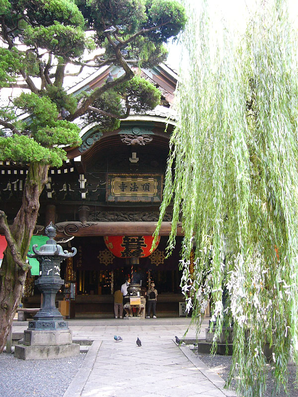 頂法寺 1