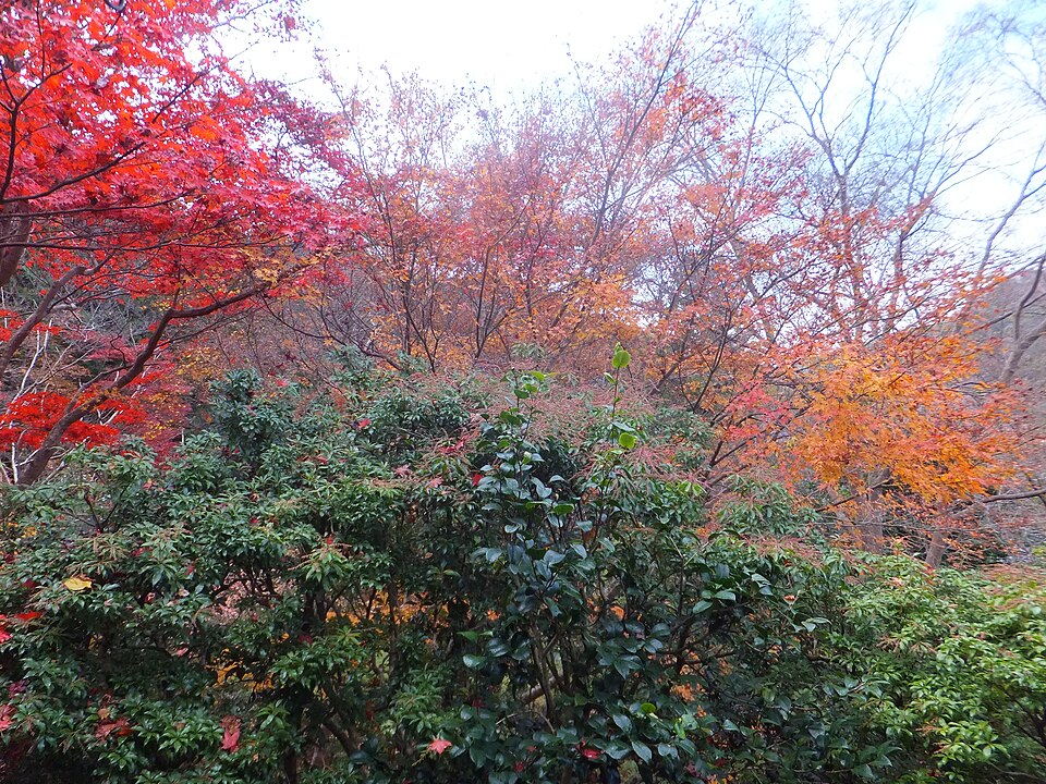 瑠璃光院 1